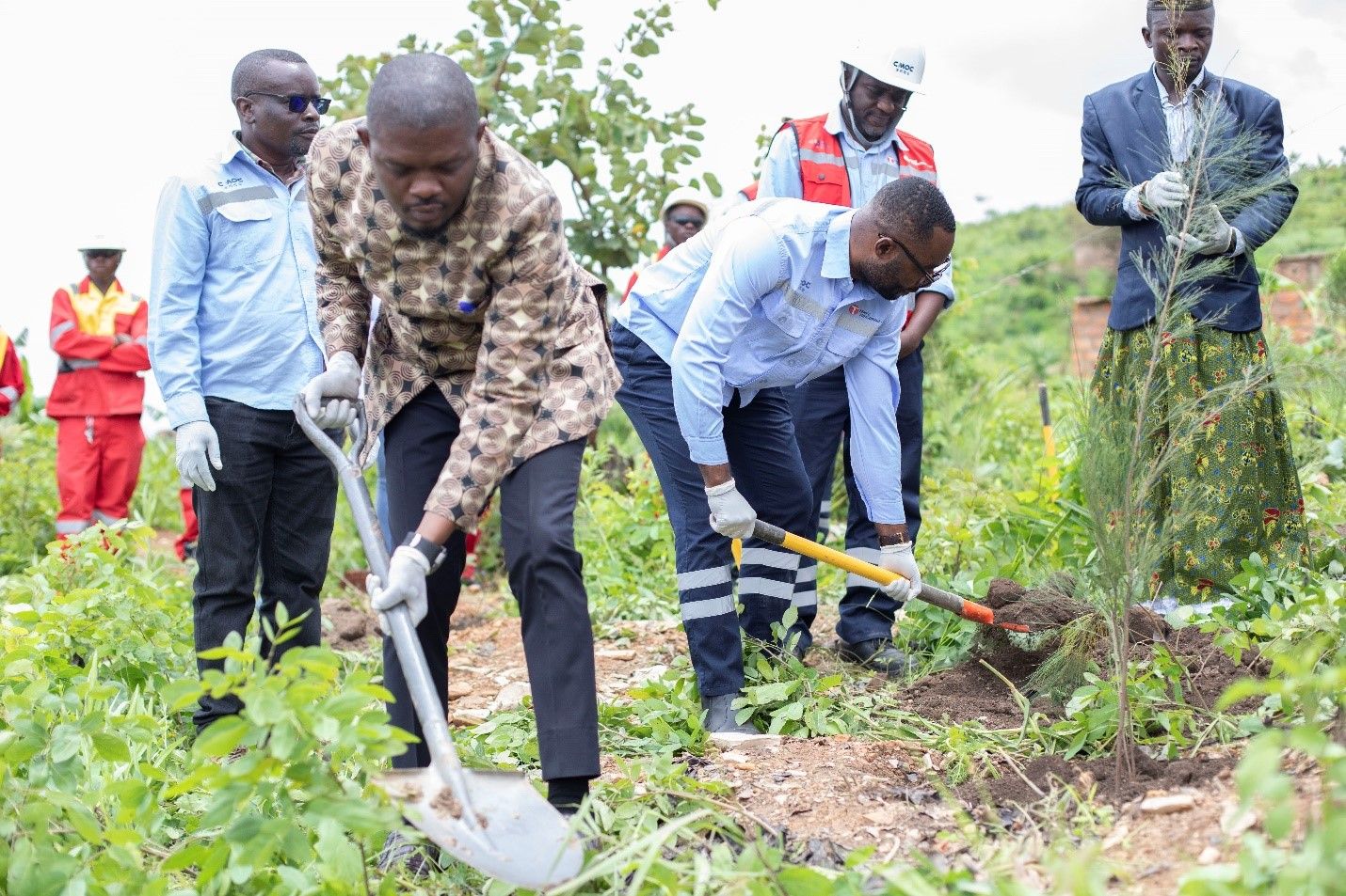 National Tree Day: TFM plants 500 seedlings as part of its Reforestation Initiative · Official website of Tenke Fungurume Mining (TFM)