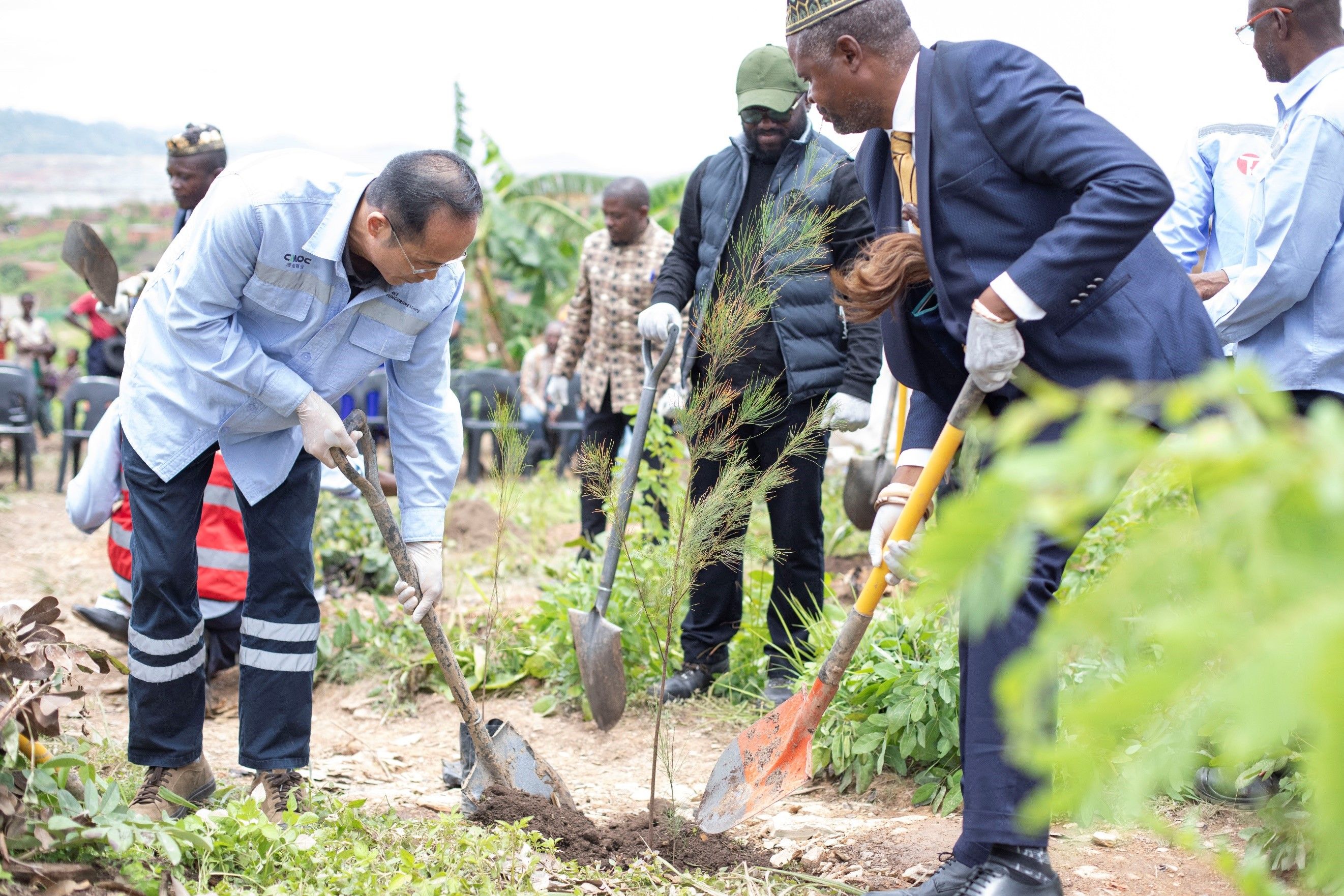 National Tree Day: TFM plants 500 seedlings as part of its Reforestation Initiative · Official website of Tenke Fungurume Mining (TFM)