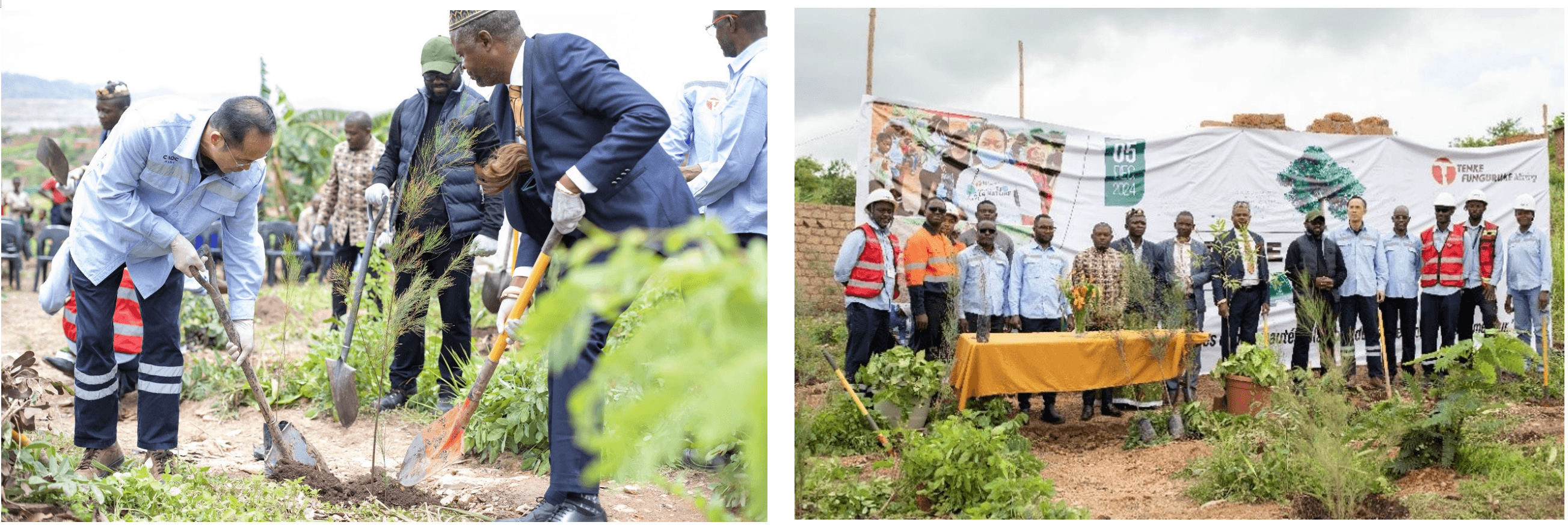 National Tree Day: TFM plants 500 seedlings as part of its Reforestation Initiative · Official website of Tenke Fungurume Mining (TFM)
